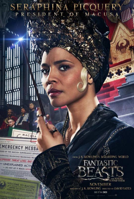 Fantastic Beasts and Where to Find Them Poster #13