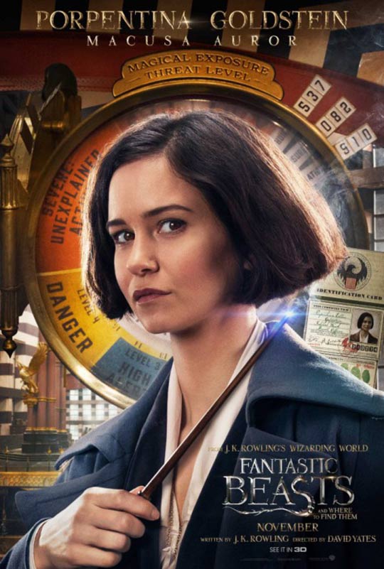 Fantastic Beasts and Where to Find Them Poster #14