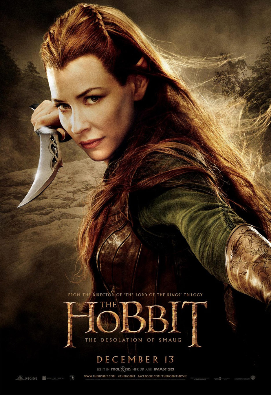 The Hobbit: The Desolation of Smaug Poster #13