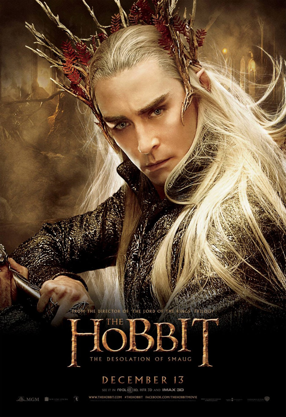The Hobbit: The Desolation of Smaug Poster #14