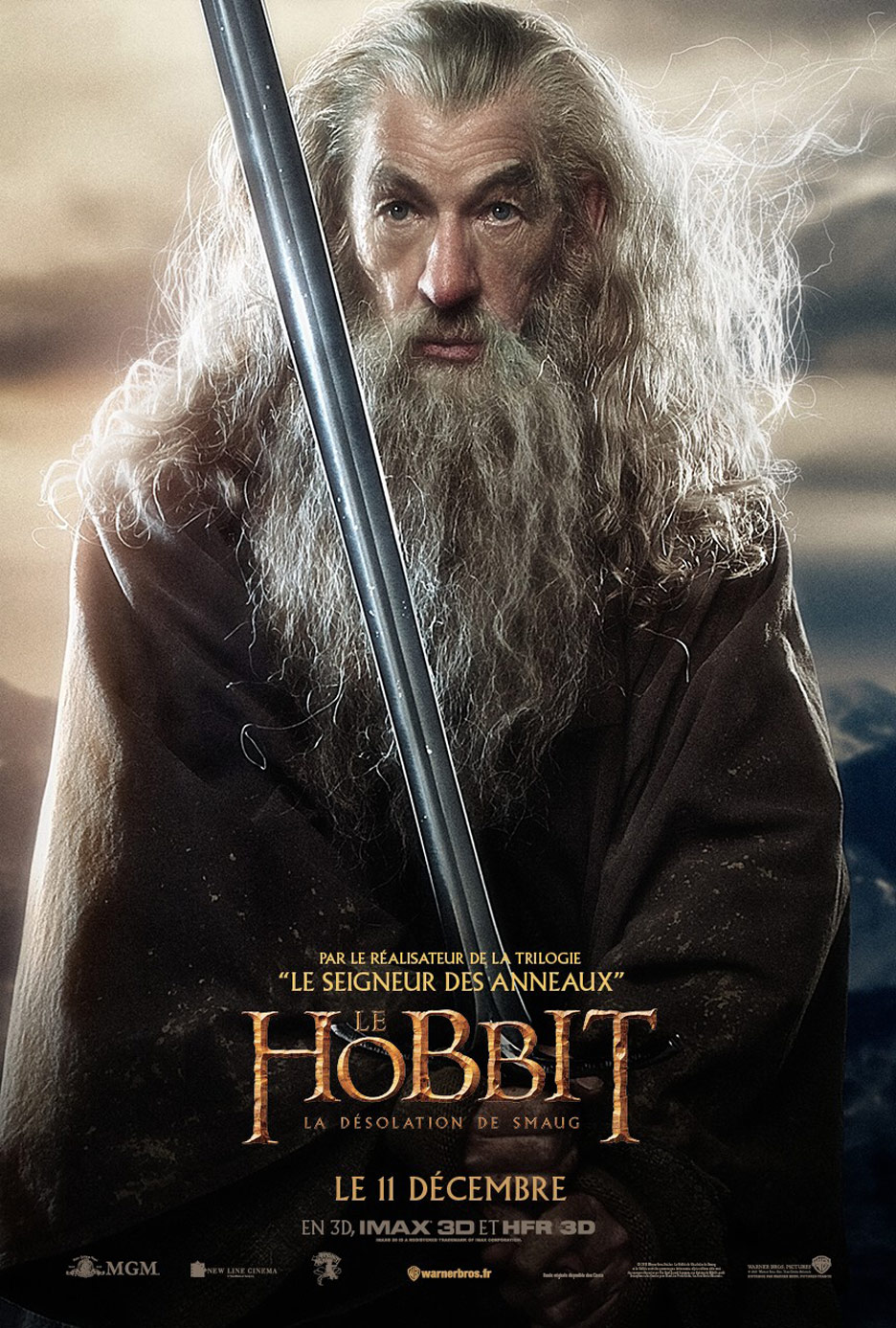 The Hobbit: The Desolation of Smaug Poster #17