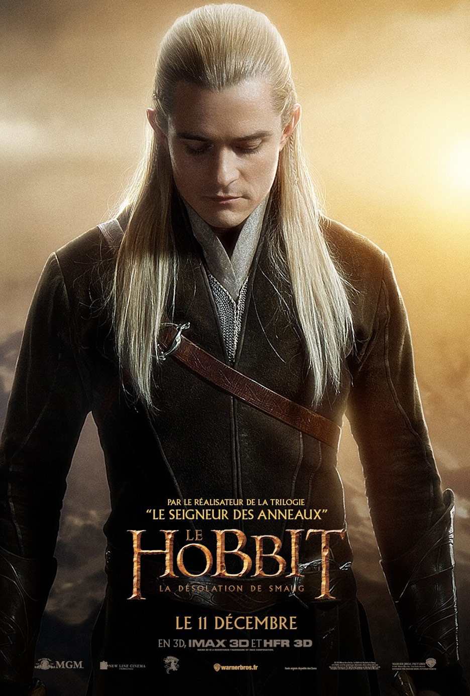 The Hobbit: The Desolation of Smaug Poster #18
