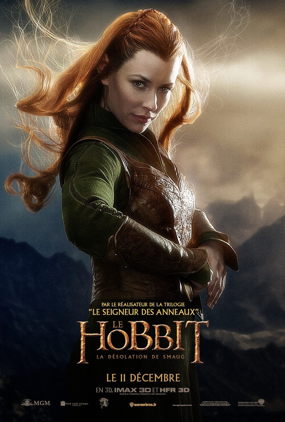 The Hobbit: The Desolation of Smaug Poster #19