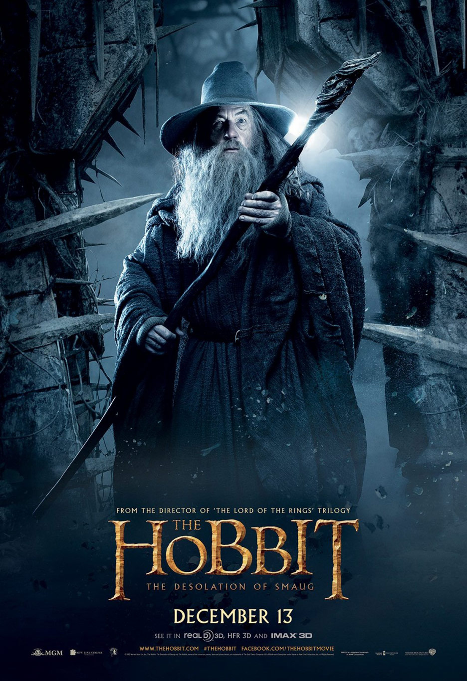 The Hobbit: The Desolation of Smaug Poster #28