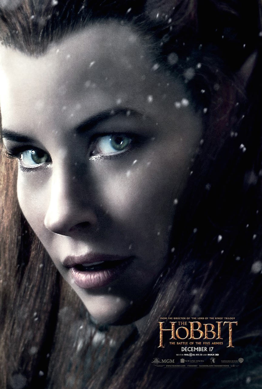 The Hobbit: The Battle of the Five Armies Poster #10