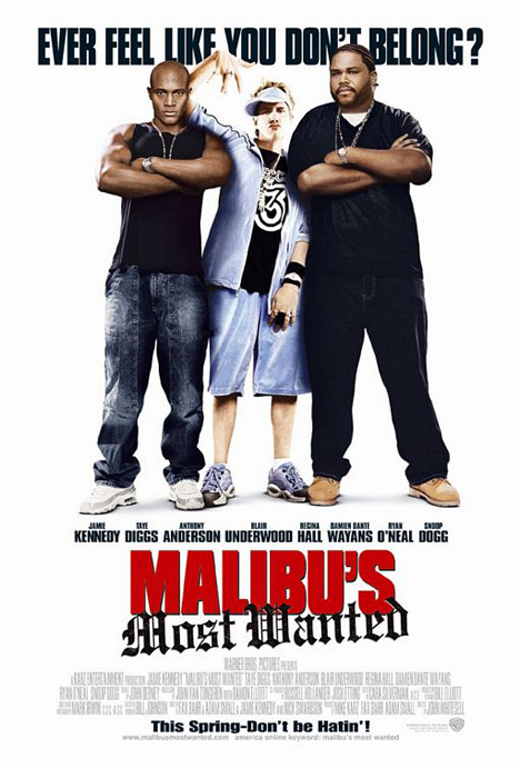 Malibu's Most Wanted Poster #1
