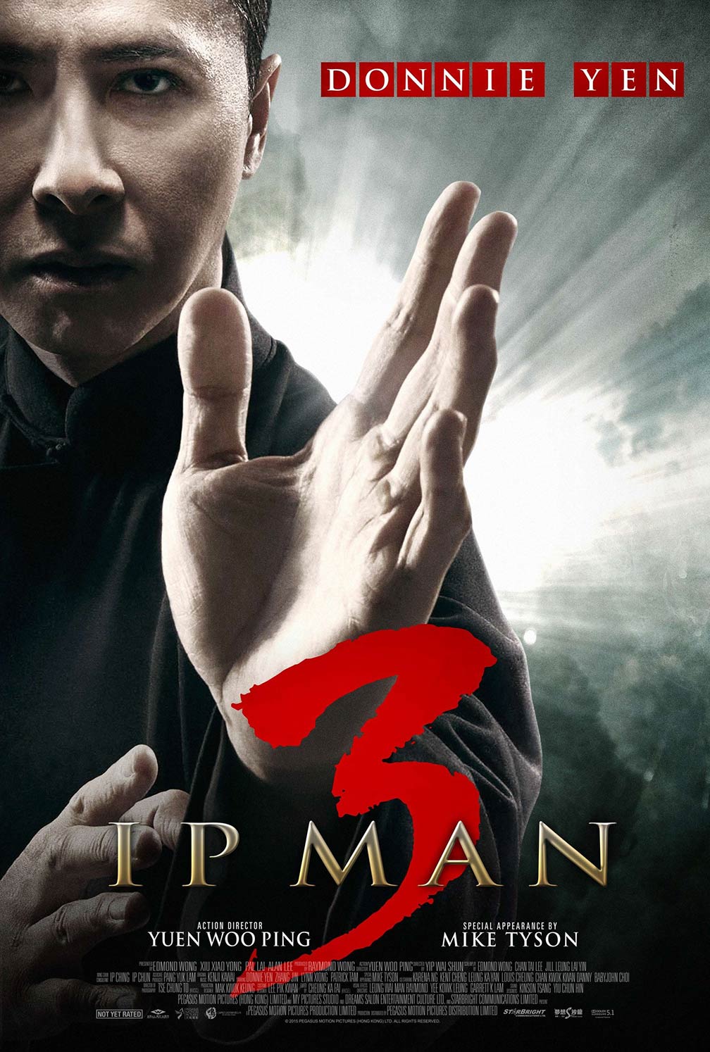 Ip Man 3 Poster #1