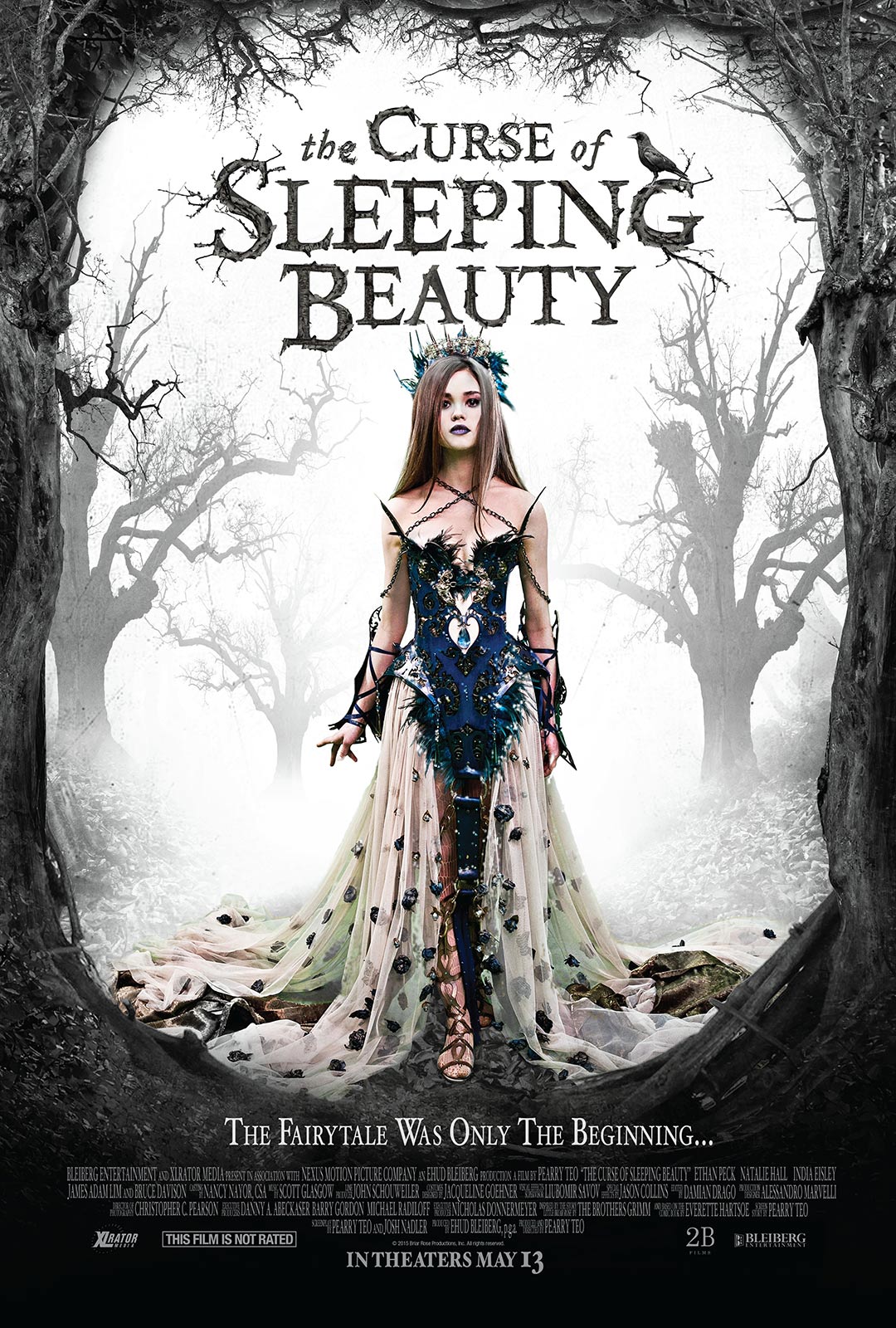 The Curse of Sleeping Beauty Poster #1