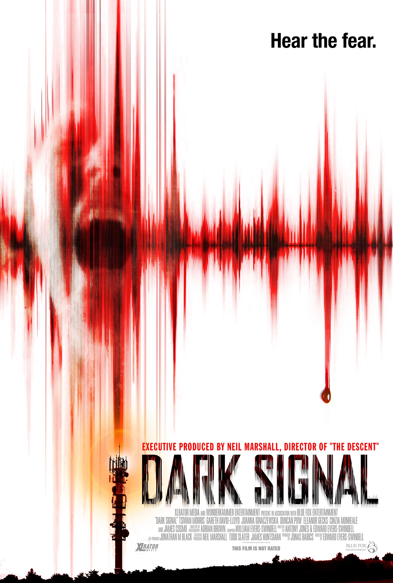 Dark Signal Poster #1