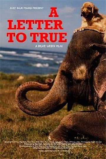 A Letter to True Poster #1