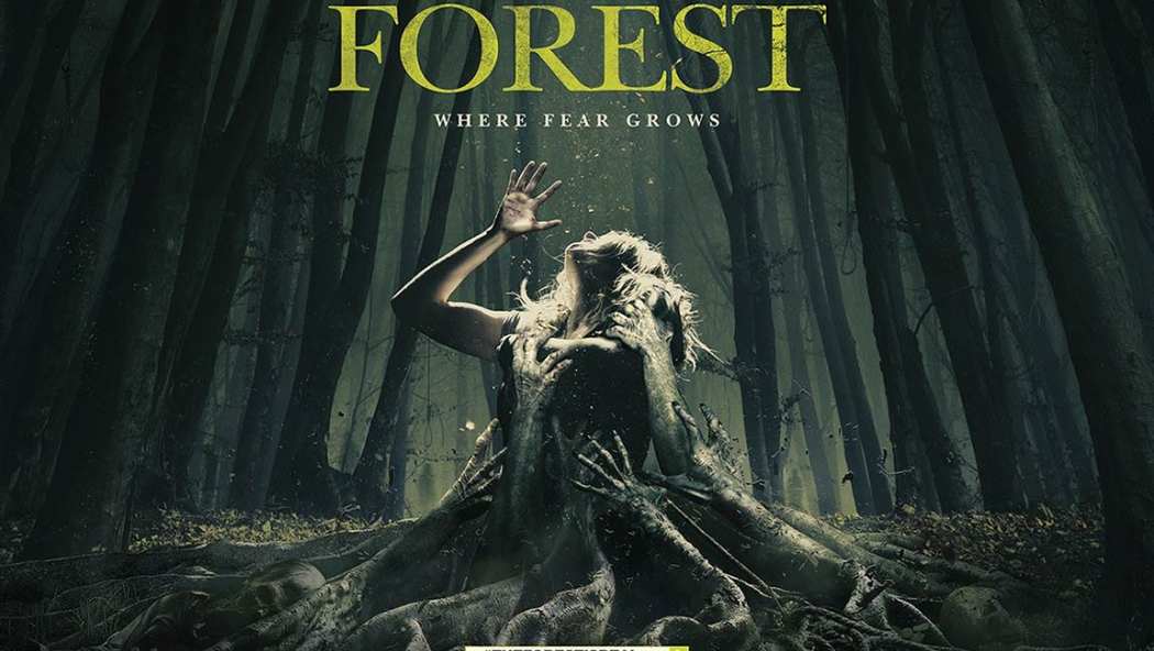 The Forest B-Roll (2016)