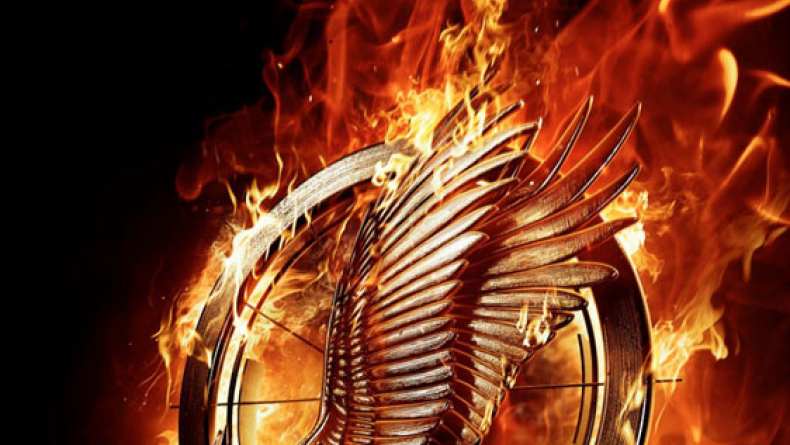 The Hunger Games: Catching Fire I'm Staying (2013)