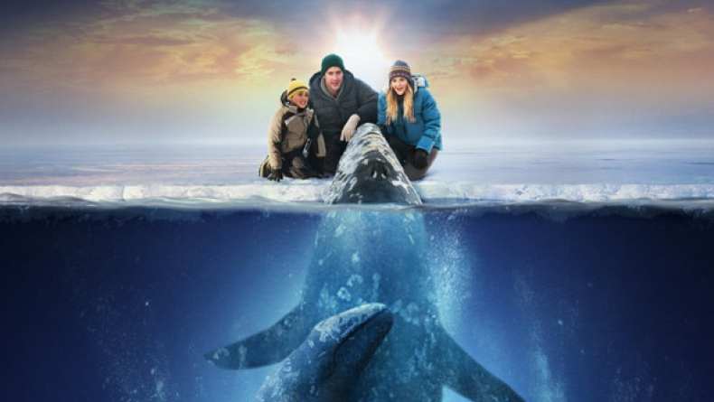 Big Miracle Interview - Kristen Bell (2012)