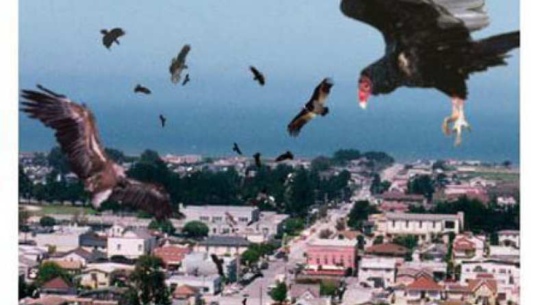 Birdemic Teaser Trailer (2009)